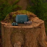 La Collezioni Evergreen Set con Accessori
